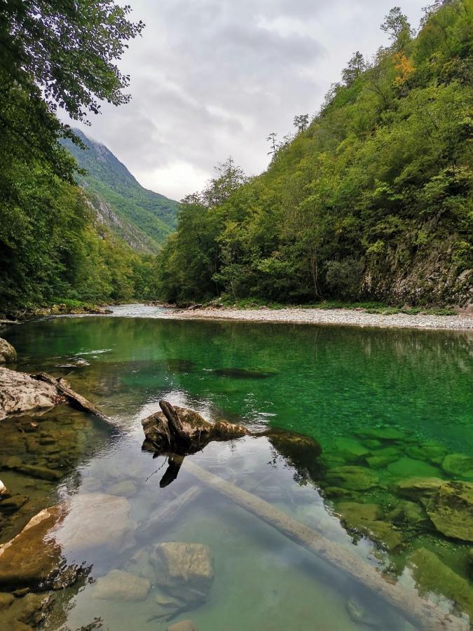 Ethno Cottage Momo Tepca Žabljak Eksteriør billede