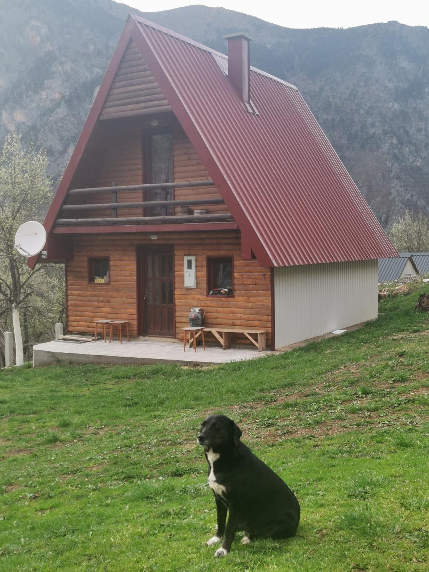 Ethno Cottage Momo Tepca Žabljak Værelse billede