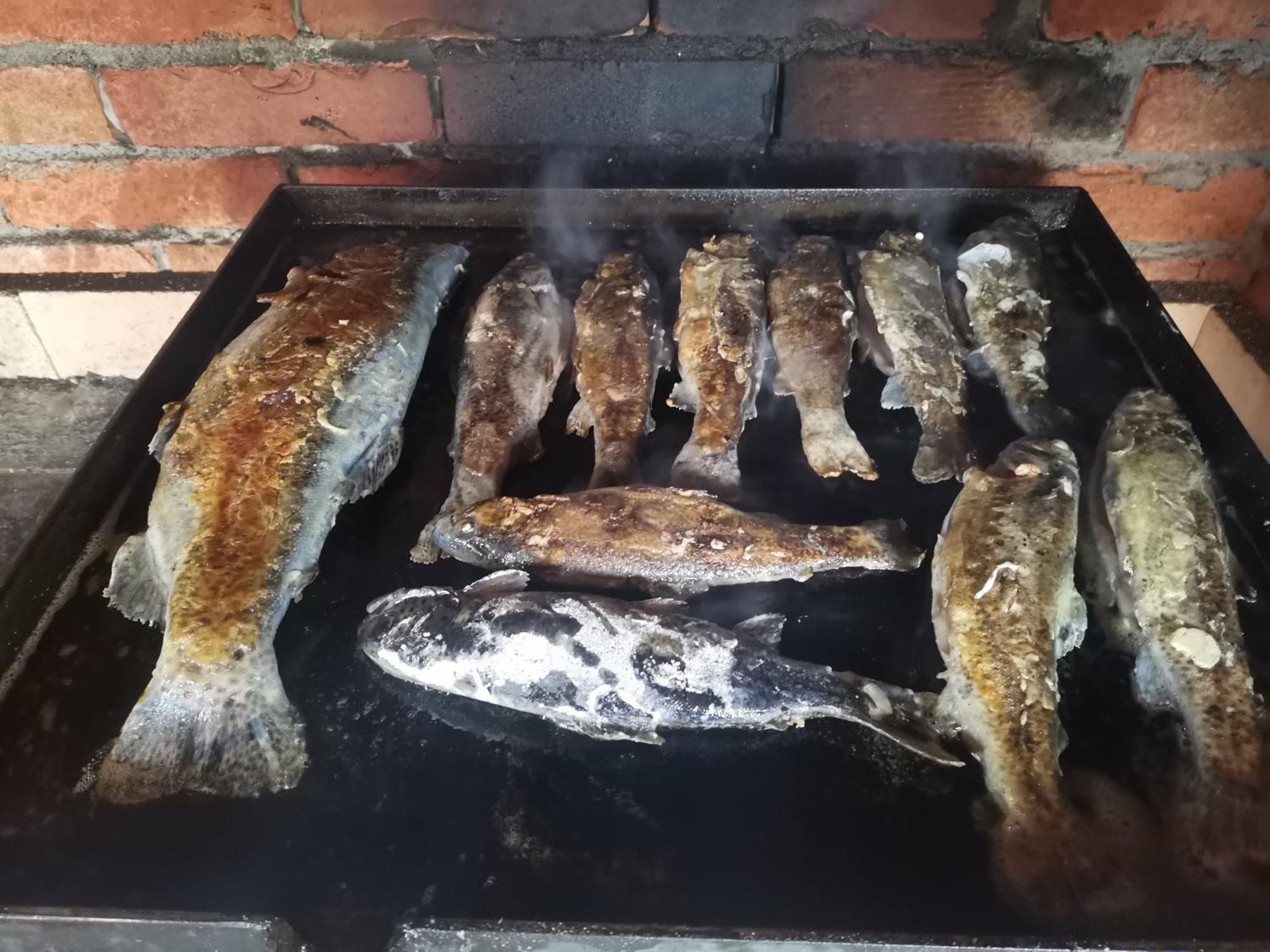 Ethno Cottage Momo Tepca Žabljak Værelse billede