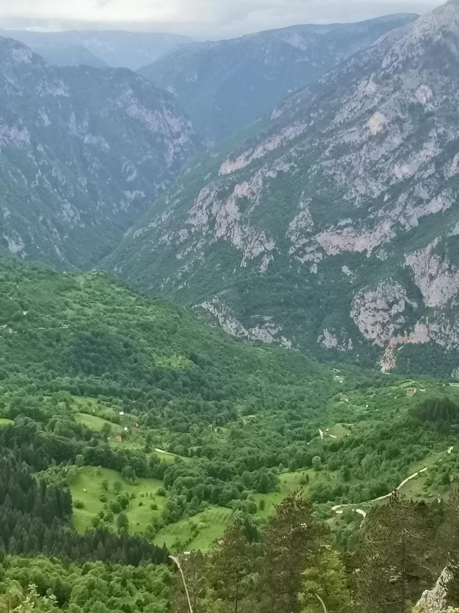 Ethno Cottage Momo Tepca Žabljak Værelse billede