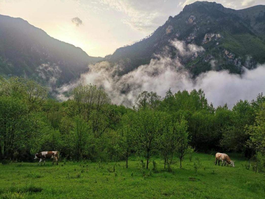 Ethno Cottage Momo Tepca Žabljak Eksteriør billede